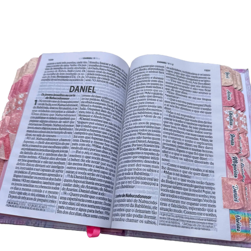 Bíblia de Estudo da Mulher com ABAS Evangélica  - Letras Gigantes - PROMOÇÃO HOJE!